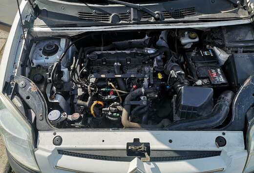 Citroen 2.0 HDi 600 kg Hayon/Achterklep