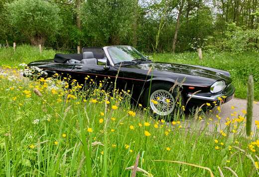 Jaguar XJSC V12 Automatik Convertible