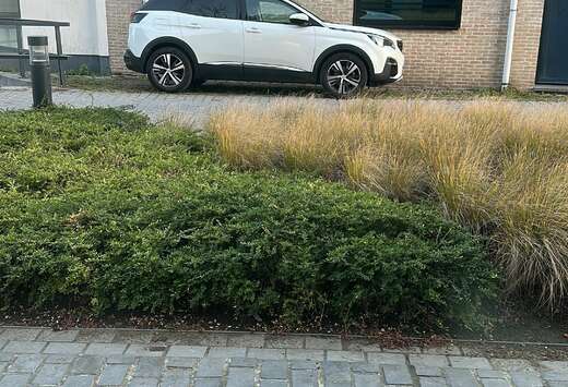 Peugeot 1.2 L 131 ch