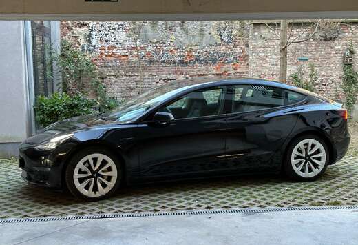 Tesla Model 3 Langstreckenbatt. Allradantrieb Dual Mo ...