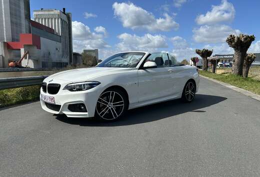 BMW Cabrio 220iA OPF