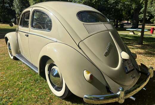 Volkswagen coccinelle ovale 1954