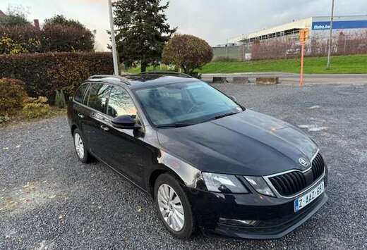 Skoda SW 1.0 TSI 1ste eigenaar **12M GARANTIE** BTWin ...