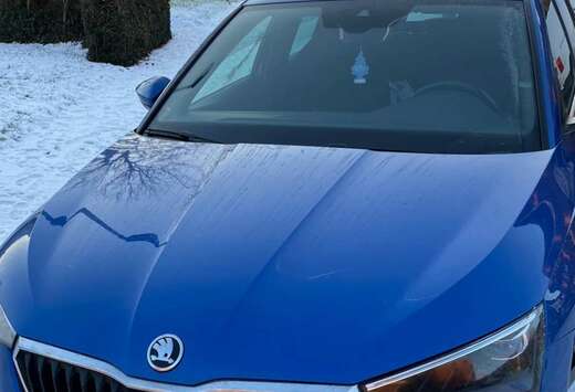 Skoda 1.5 TSI Clever