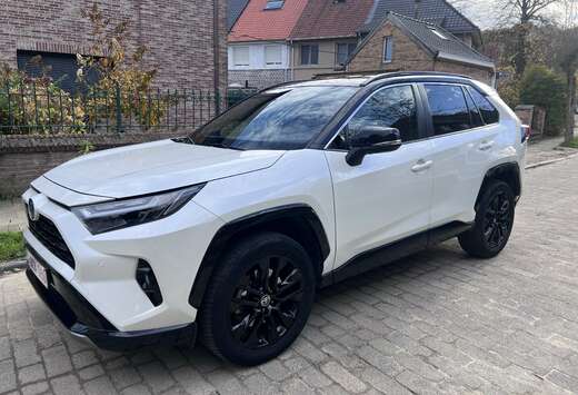 Toyota Toyota RAV 4 2.5 4x2 Hybrid Style plus