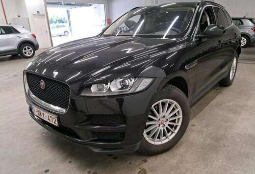 Jaguar (€16700,-excl.VAT/Guarantee) ONLY B2B/EXPORT