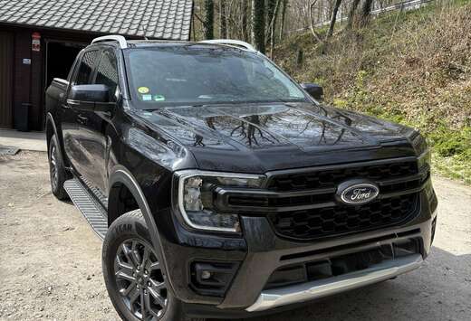 Ford 2.0 EcoBlue e-4WD Wildtrak