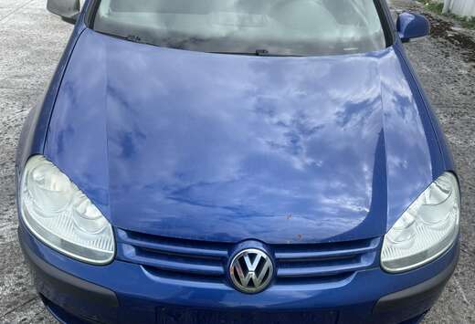 Volkswagen 1.9 TDi Trendline