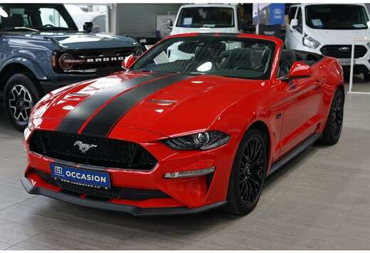 Ford 5.0Ti V8 GT Cabriolet A10 449cv