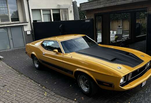 Ford V8 Mach 1 Sportsroof