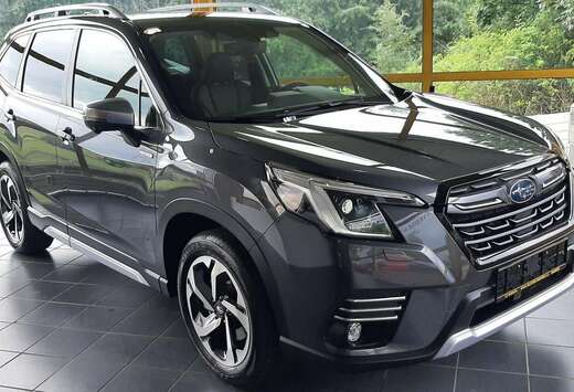 Subaru Subaru Forester \\PLATINUM\\-PREMIUM VOLL 8J.G