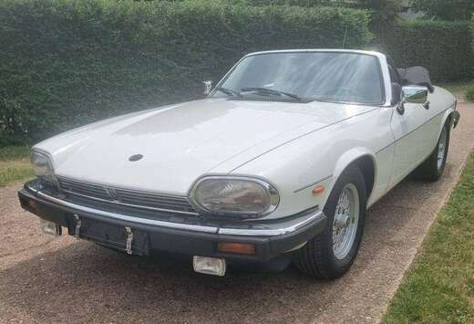Jaguar