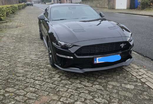 Ford Mustang 2.3 EcoBoost (EU6.2)