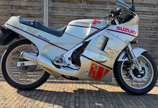 Suzuki Walter wolf