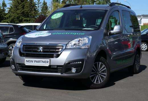 Peugeot III Electric Confort