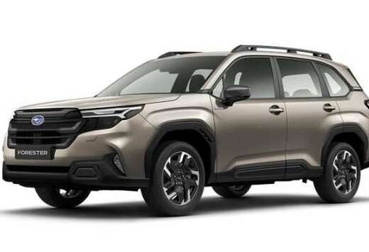 Subaru Subaru Forester Comfort MY 25  8 J. Garantie