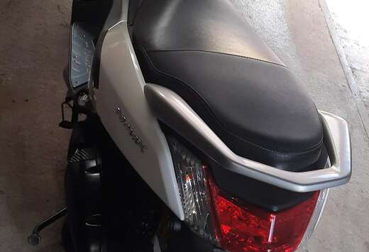 Scouteur