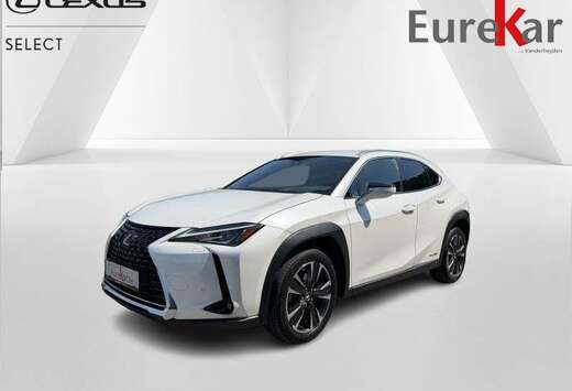 Lexus Explore Line