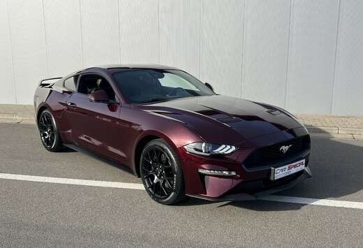 Ford Mustang 2.3 EcoBoost  - Face Lift 290 cv -