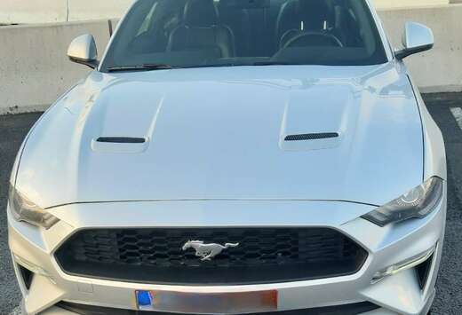 Ford Fastback 2.3 Eco Boost Aut.
