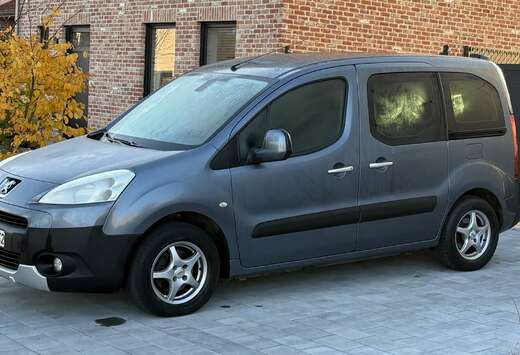Peugeot Tepee 1.6 HDi Premium FAP
