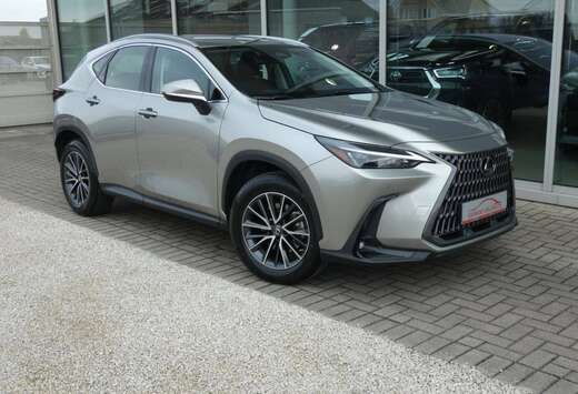 Lexus Business line +LEDER +Zetelverwarming +Groot sc ...