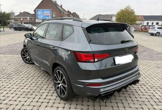 REMUS UITLAAT  PANO  DCC  360 camera  keyless