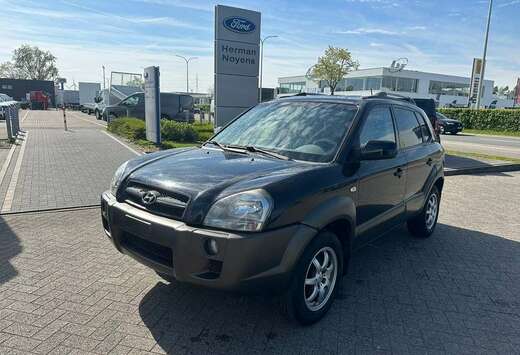 Hyundai Enkel voor professionele verkoop.