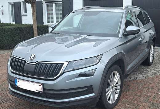 Skoda 2.0 CR TDi Ambition DSG