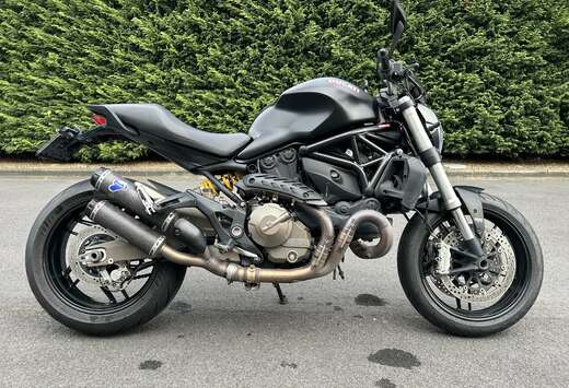 Monster 821