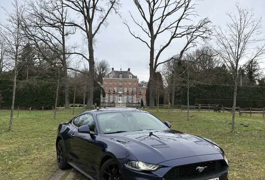 Ford Mustang 2.3 EcoBoost (EU6.2)