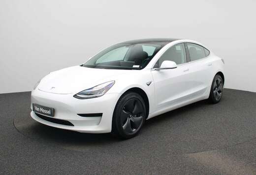 Tesla Standard RWD Plus NAVI  LED  CAMERA  Apple Car