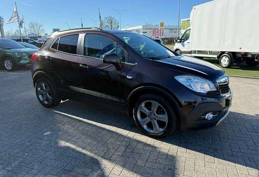 Opel Enkel voor professionele verkoop.