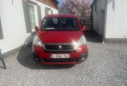 Peugeot 1.6i L1H1 Premium 120
