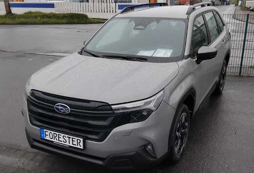 Subaru Forester Comfort MY 25, (DE=TREND)  8 J. Garan ...