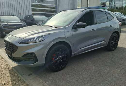 Ford ST-Line X / PHEV / Solar silver