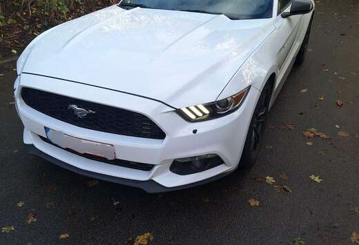 Ford Mustang Cabrio 2.3 Eco Boost