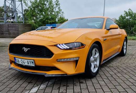 Ford Mustang Fastback 2.3 Eco Boost Aut. export