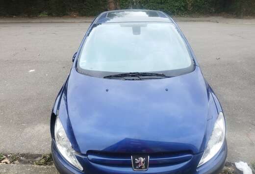 Peugeot 307 1.6i 16v XS