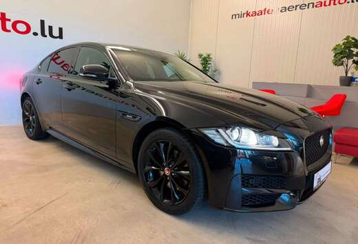 Jaguar R-Sport**NAVI**LEDER**R-KAMERA**SHZ**