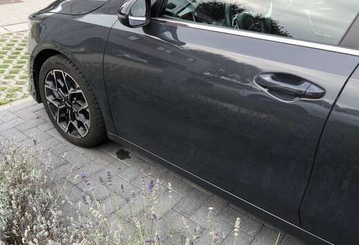 Kia 1.5 T-GDI DCT7 OPF GT Line