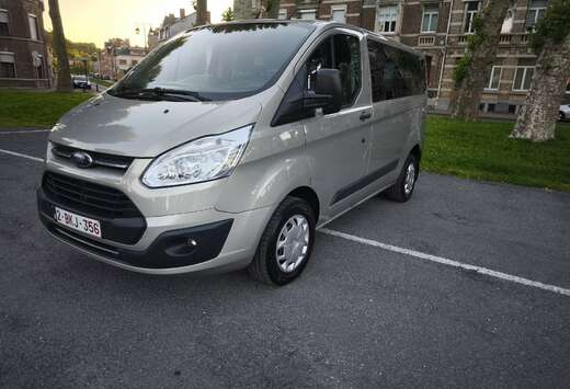 Ford 310 L1H1 2.0 TDCi 130 Titanium