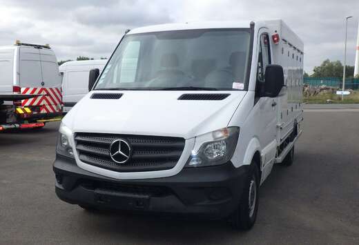 Mercedes-Benz 311 (Stock ID 89890)