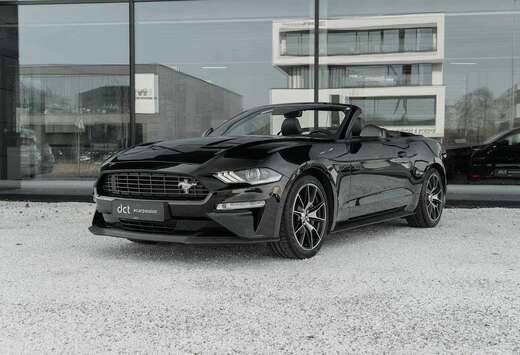 Ford Cabrio 55 Years edition CoolingSeats B&O Sound
