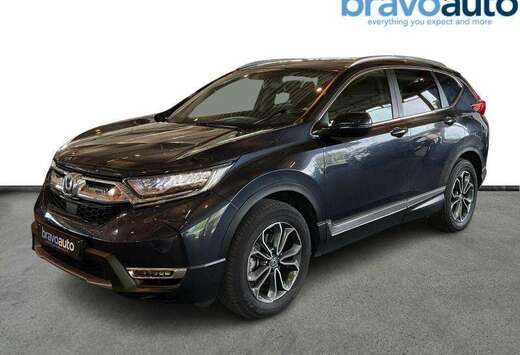 Honda Executive