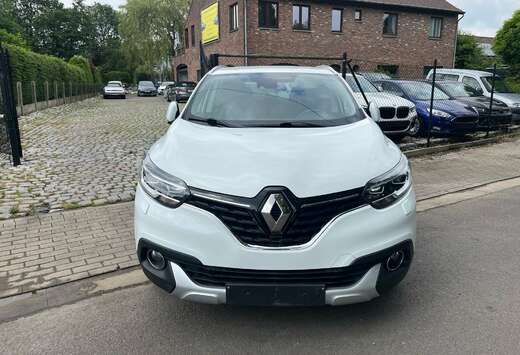 Renault S-edition benzine  96 kw met 1 jaar garantie