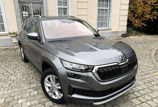 Skoda 1.5 TSI DSG Clever Verwarmd Half Leder, Distron ...