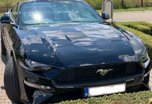 Ford Mustang Convertible 2.3 Eco Boost Aut.