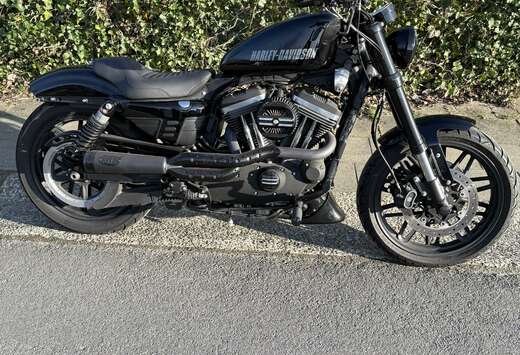 Sportster roadster