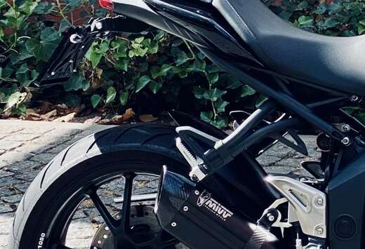Triumph ABS Black Stripe